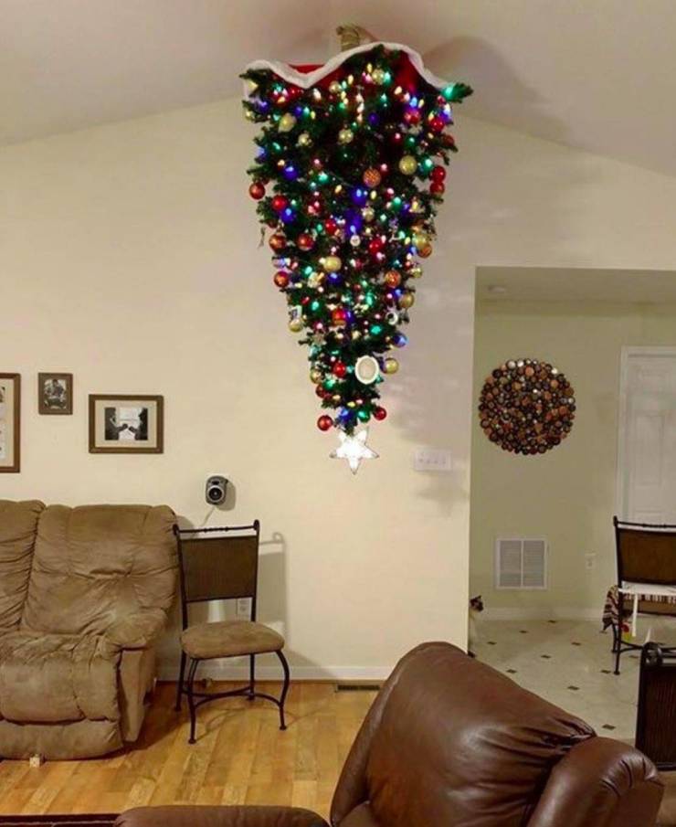 fun randoms - cat proof christmas tree