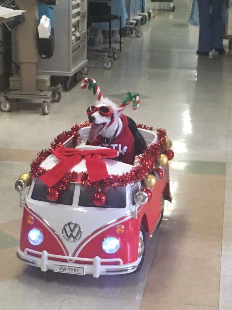 funny photos - hospital christmas meme