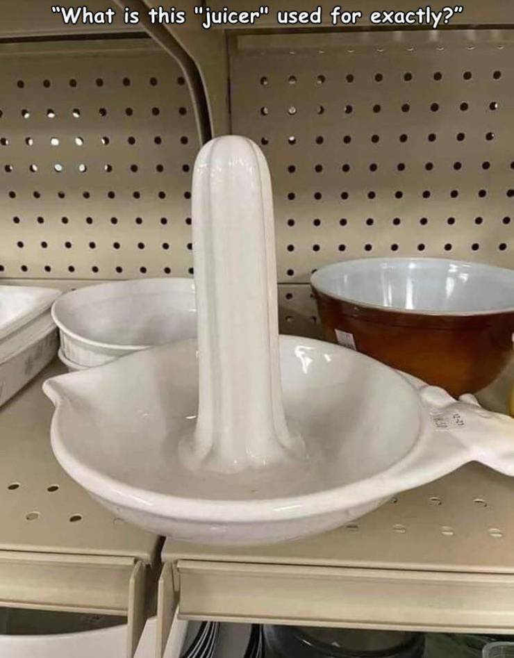 fun randoms - funny photos - porcelain - "What is this "juicer" used for exactly?" 159 0211