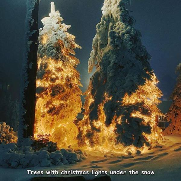 fun randoms - tree on a rocket - Trees with christmas lights under the snow