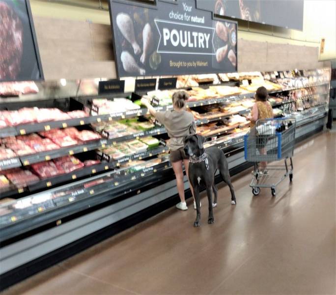 supermarket - Your choice for natural Poultry Brought to you by Wamart
