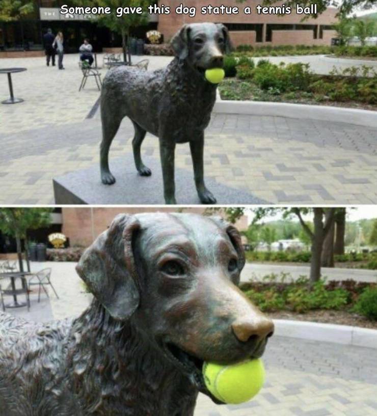 Tennis ball - Someone gave this dog statue a tennis ball