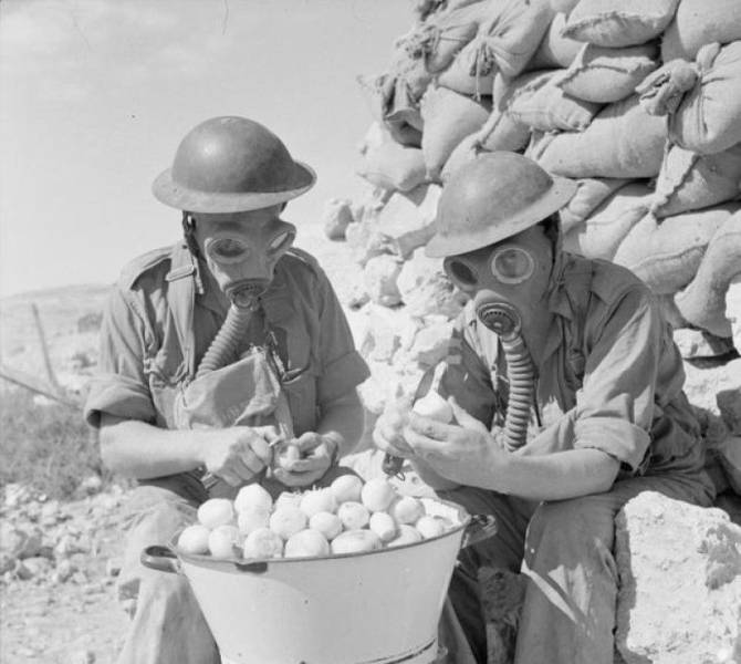 funny photos - british soldiers peeling onions