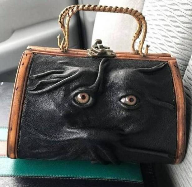 cool random photos - eyeball handbag