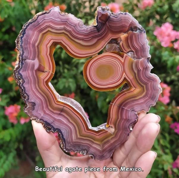 funny memes and random pics - carving - Beautiful agate piece from Mexico.