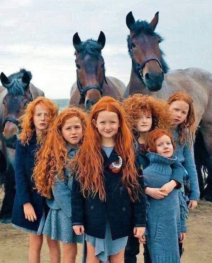 pretty redheads