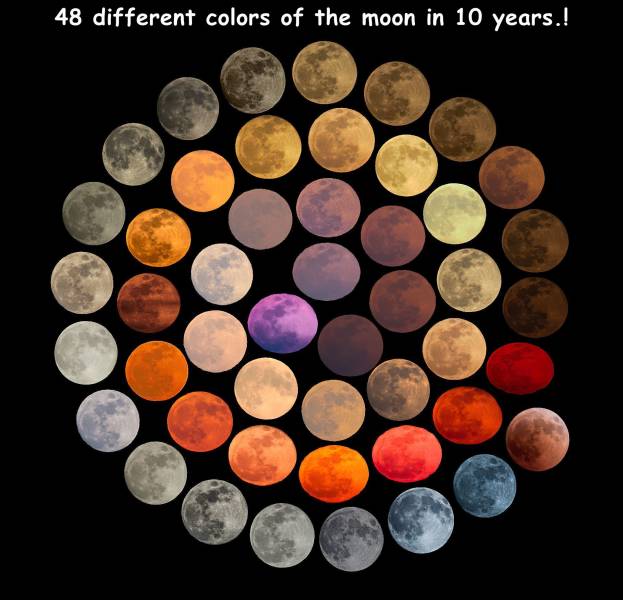 colors of the moon marcella giulia pace - 48 different colors of the moon in 10 years.!