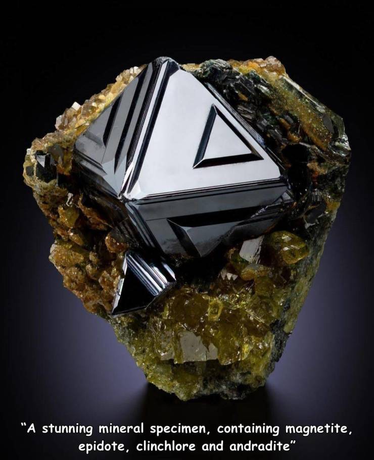 magnetite - "A stunning mineral specimen, containing magnetite, epidote, clinchlore and andradite"