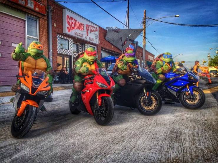 random photos - ninja turtle motorcycle - d .