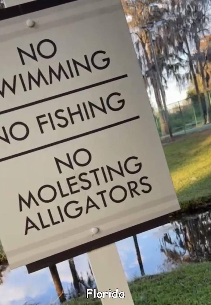 signage - No Wimming No Fishing No Molesting Alligators Florida