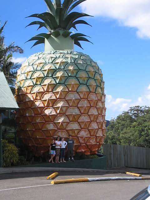 the big pineapple