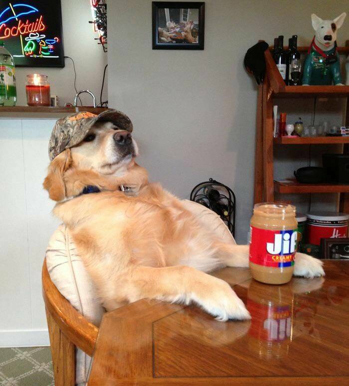 cool random pics - my daughter aint dating no black lab - Cocktails liile t Jif Creany
