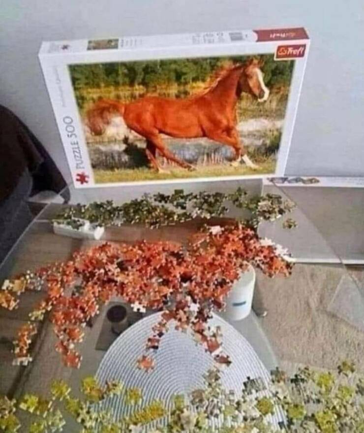 cool random pics - puzzle horse funny - Puzzle 500 Mayo