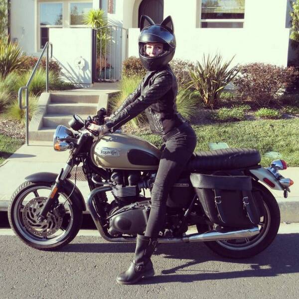 cool pics - womens motorcycle helmet cat - Tuunes
