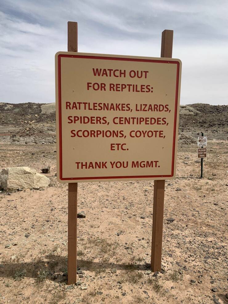 fun randoms - funny photos - sign - Watch Out For Reptiles Rattlesnakes, Lizards, Spiders, Centipedes, Scorpions, Coyote, Etc. Please Stay On Trail Thank You Mgmt.