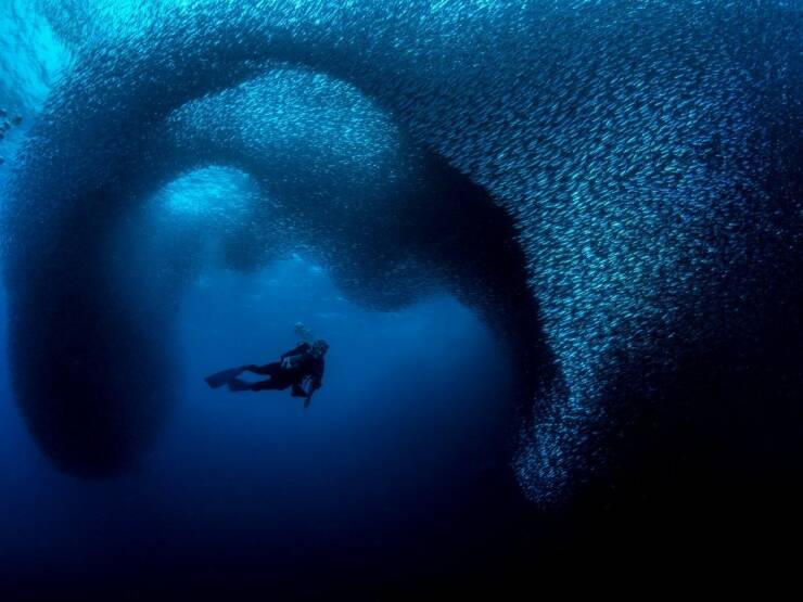 random pics - photography underwater ocean