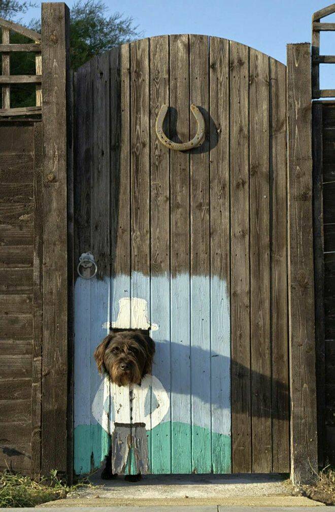 random pics - funny dog fence hole