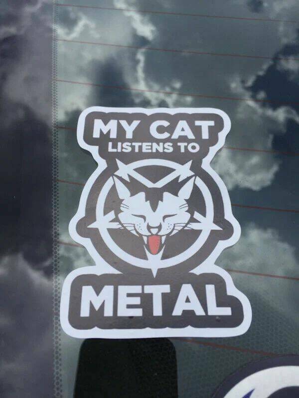 monday morning randomness - park at pernoshal court - My Cat Listens To Metal