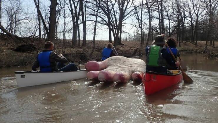 awesome random pics - canoe