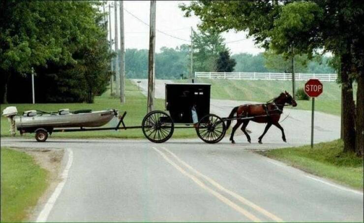 awesome random pics - amish buggy towing boat - Stop