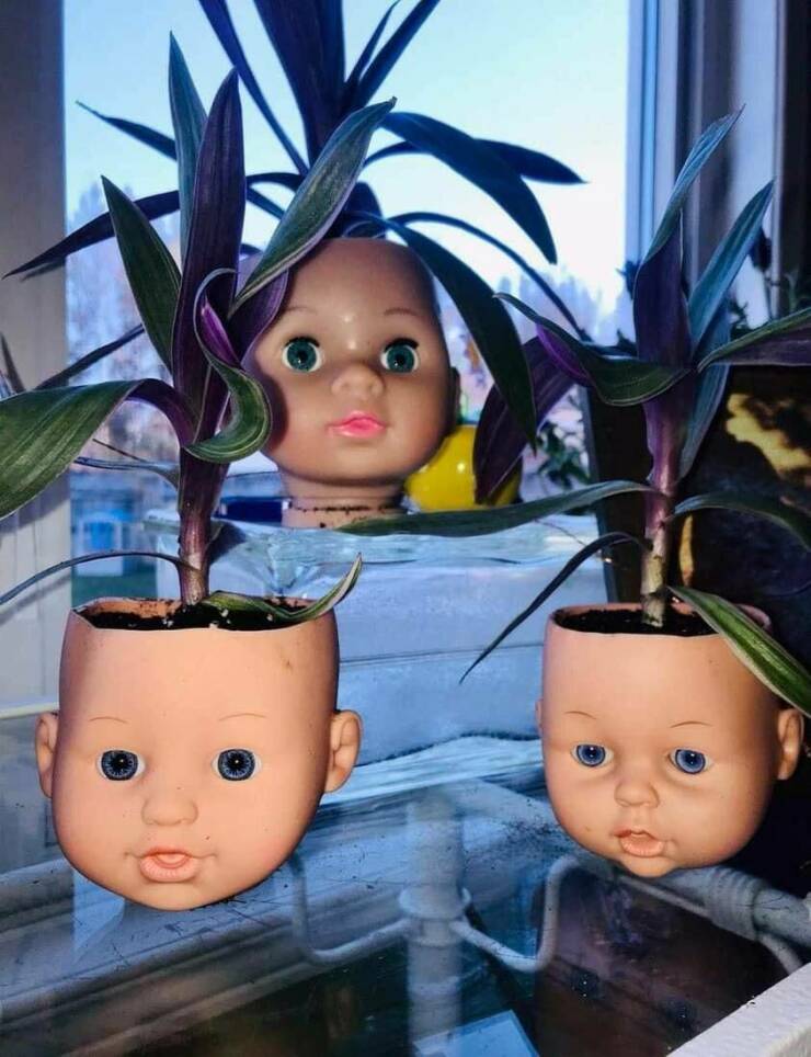 awesome random pics - doll head planters