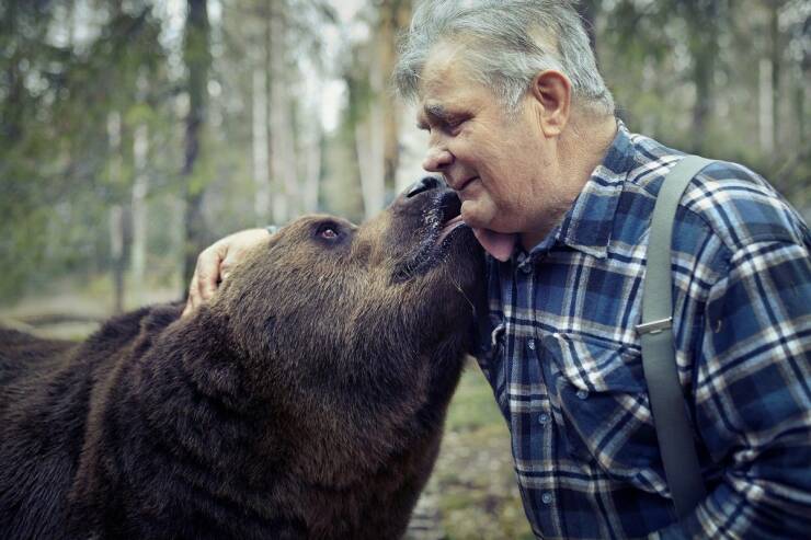 fun randoms - funny photos - grizzly bear
