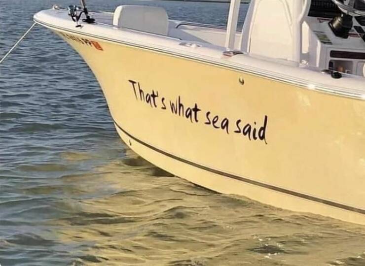 cool random pics - boat meme - That's what sea said