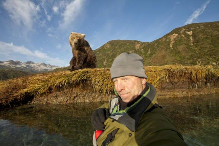 funny pics and memes - grizzly selfie