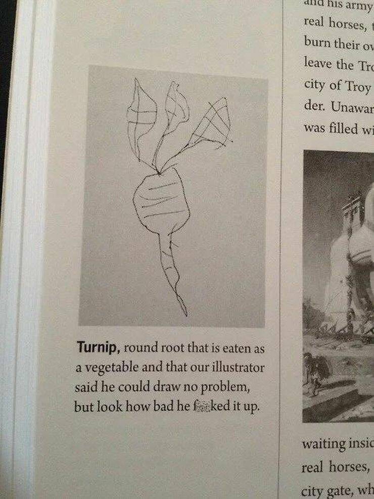 funny pics and memes - textbook turnip - Turnip, round root that is eaten as a vegetable and that our illustrator said he could draw no problem, but look how bad he fiked it up. his army real horses, burn their ow leave the Tre city of Troy der. Unawar wa