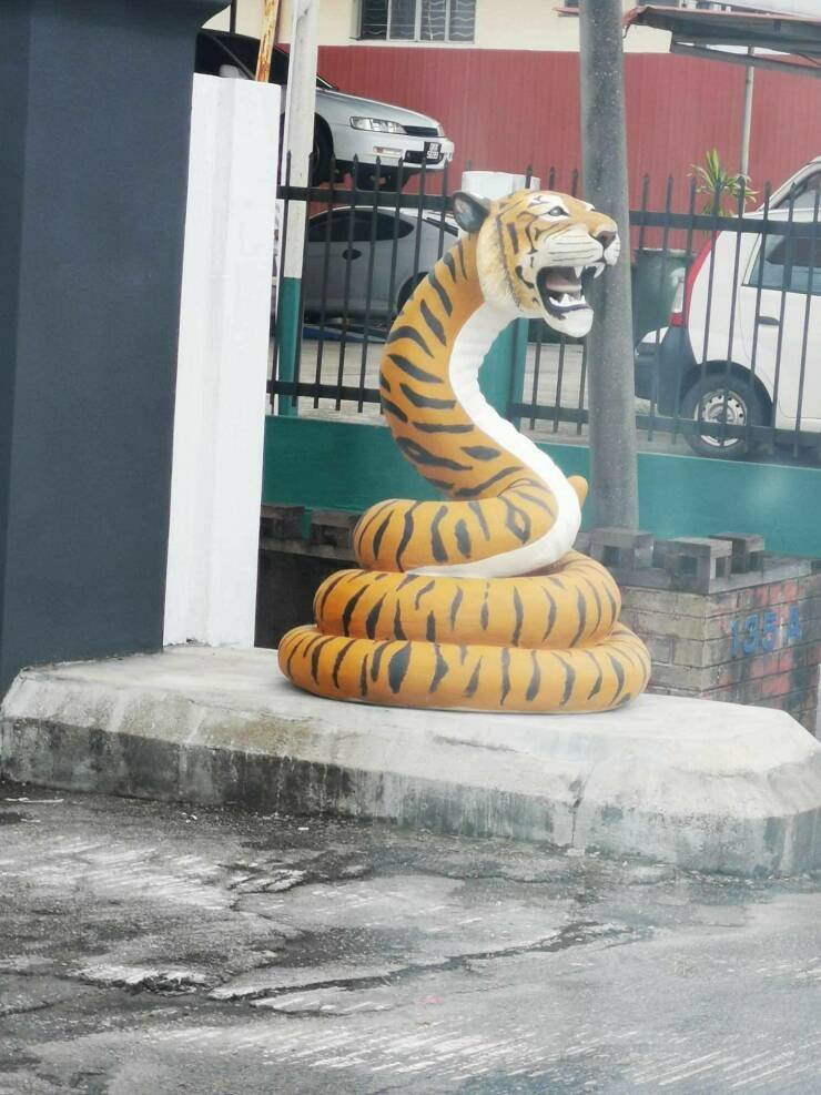 funny pics and memes - tiger with a snake body - Ir