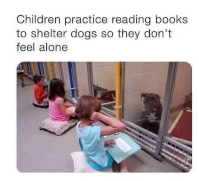 Images, Pictures, Memes - kids reading to shelter dogs - Children practice reading books to shelter dogs so they don't feel alone