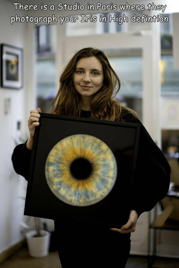 Images, Pictures, Memes - There is a Studio in Paris where they photograph your Iris in High defintion