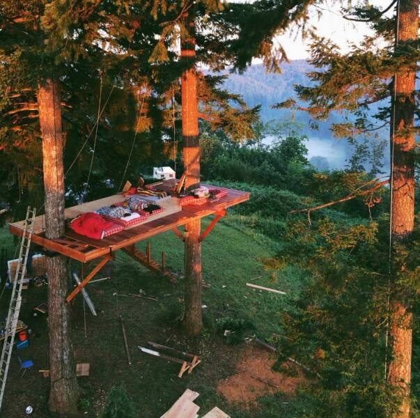 cool pics - tree camping -