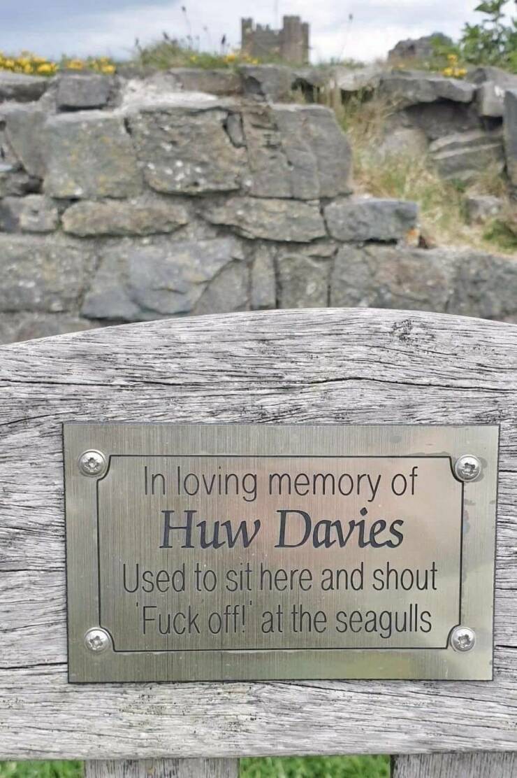 cool pics - huw davies bench - In loving memory of Huw Davies Used to sit here and shout Fuck off! at the seagulls