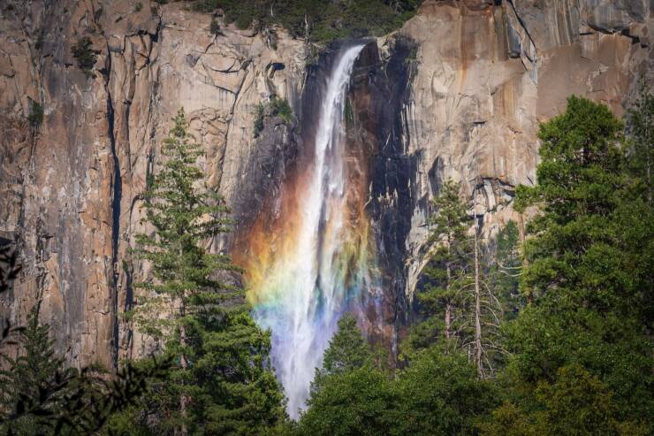 funny and cool pics - yosemite national park