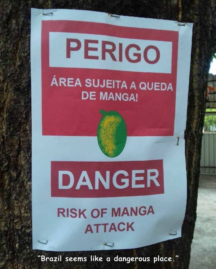 daily dose of random pics - manga attack meme - Perigo Rea Sujeita A Queda De Manga! Danger Risk Of Manga Attack C "Brazil seems a dangerous place."
