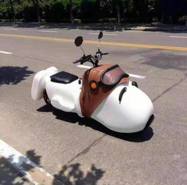 random pics - scooter snoopy