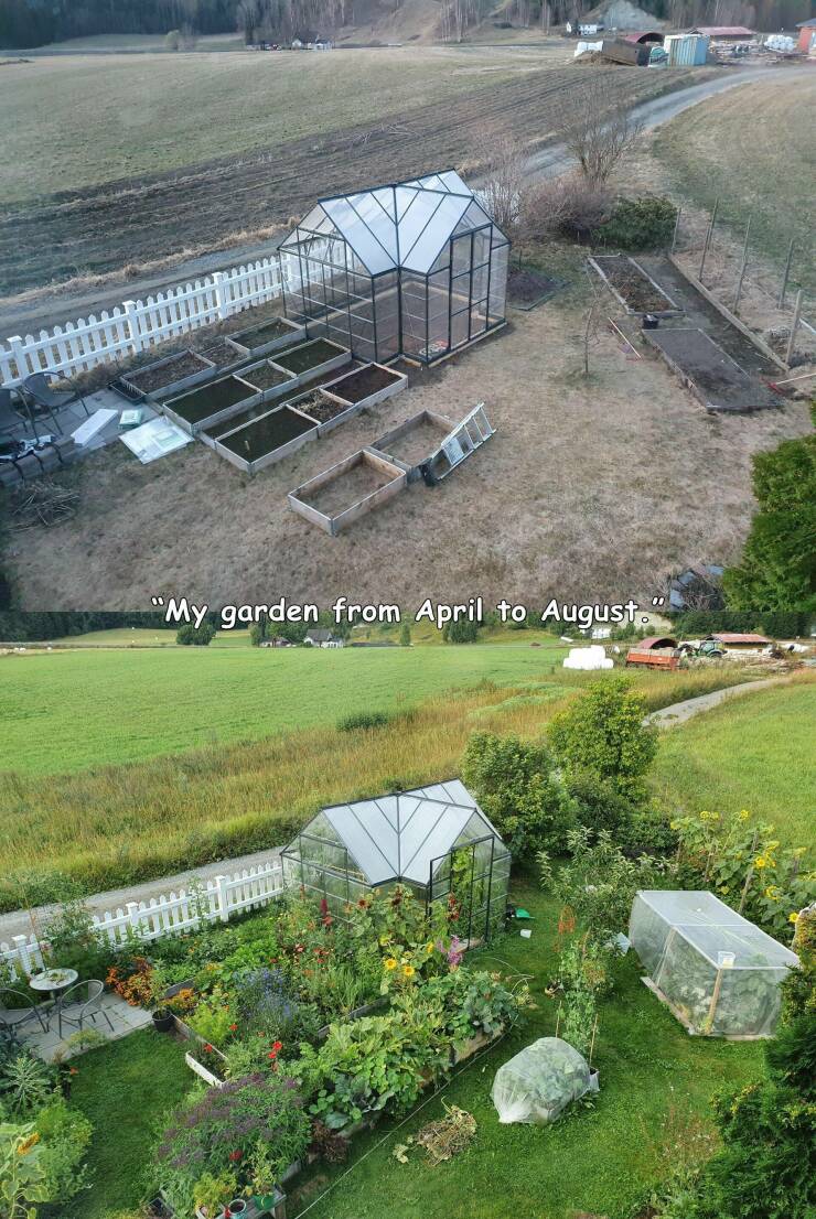 random pics - farm - "My garden from April to August." G