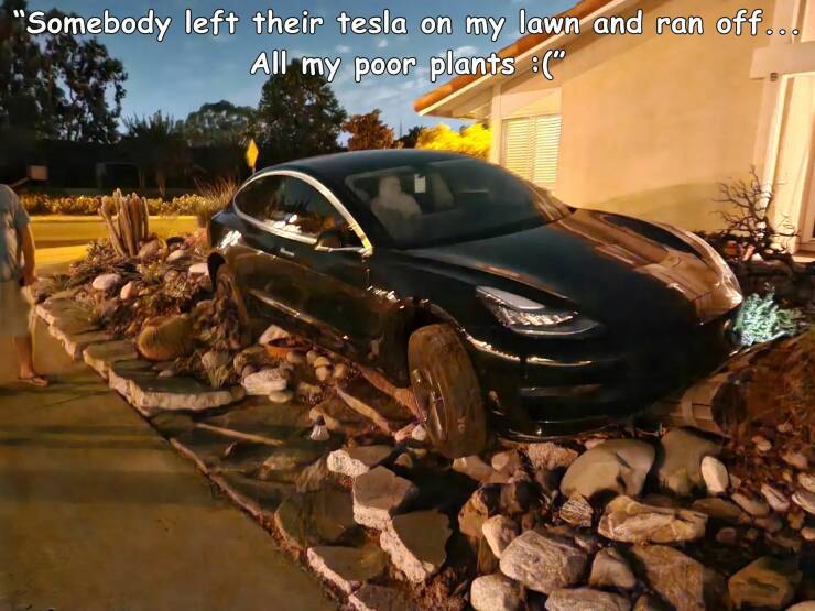 daily dose of randoms - supercar - "Somebody left their tesla on my lawn and ran off... All my poor plants "