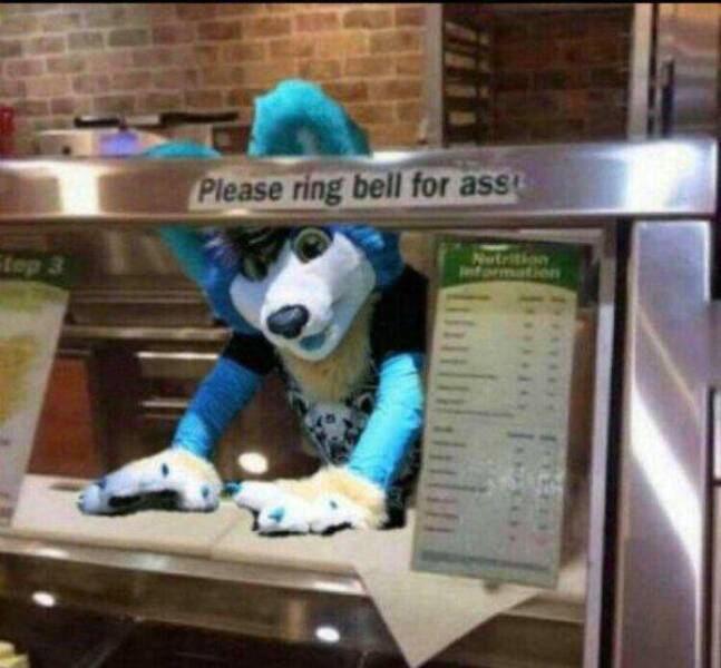 daily dose of randoms - furry subway - Step 3 Please ring bell for ass Nutrition tien