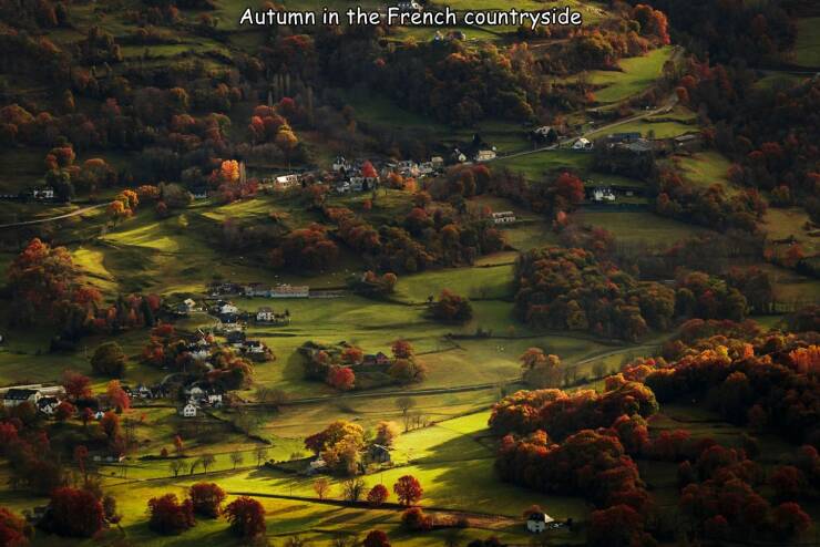 daily dose of randoms - nature - Autumn in the French countryside www