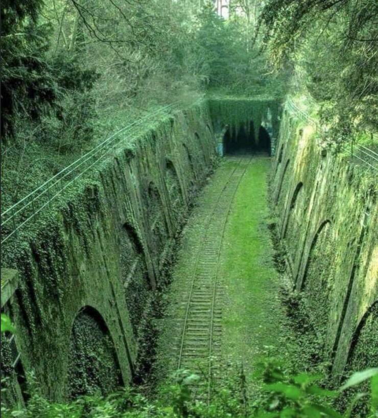 daily dose of randoms - abandoned tunnel in france - Far