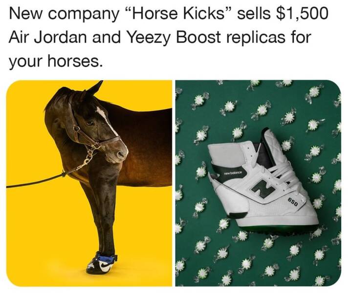 daily dose of pics and memes - shoe - New company "Horse Kicks" sells $1,500 Air Jordan and Yeezy Boost replicas for your horses. new balance 650