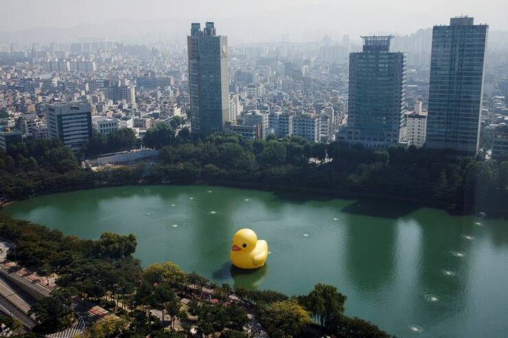 cool pics and photos daily dose - seokchon lake rubber duck - Airp
