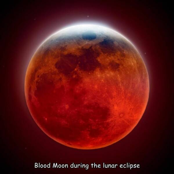 daily dose of randoms - Lunar eclipse - Blood Moon during the lunar eclipse