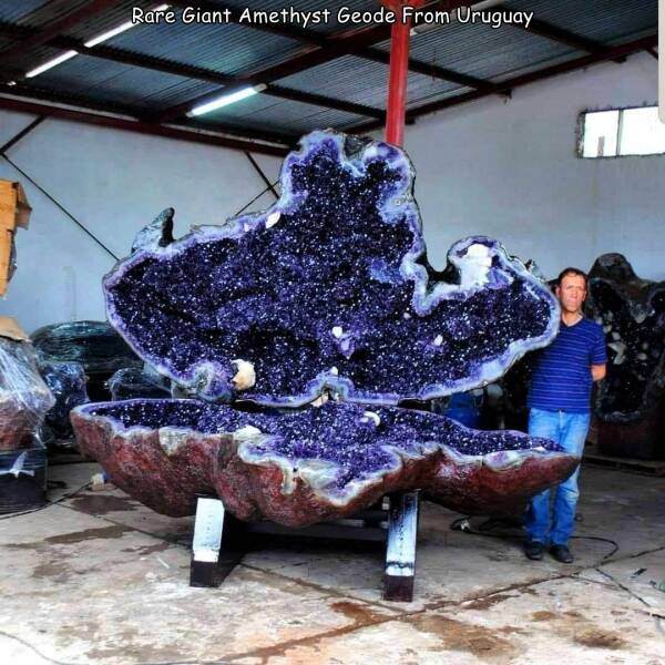 daily dose of randoms - giant amethyst geode uruguay - Rare Giant Amethyst Geode From Uruguay 7
