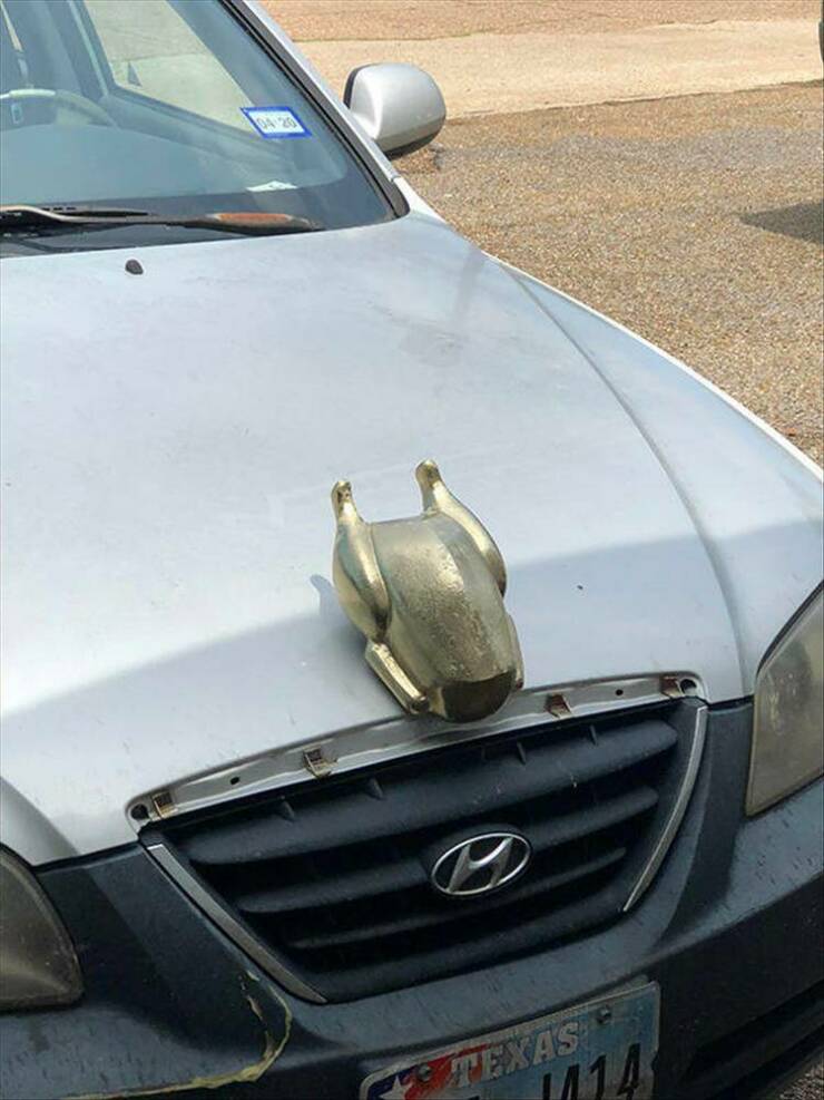daily dose of randoms - Hood ornament - Suxell