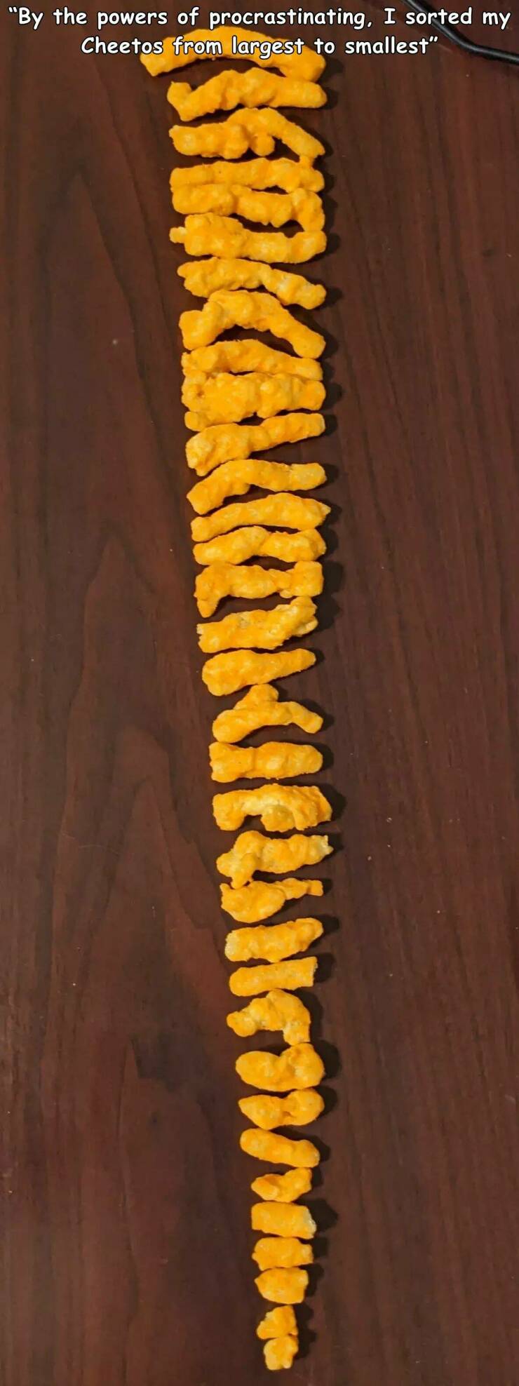 cool random pics for your daily dose - orange - "By the powers of procrastinating, I sorted my Cheetos from largest to smallest" Mencilencieusem