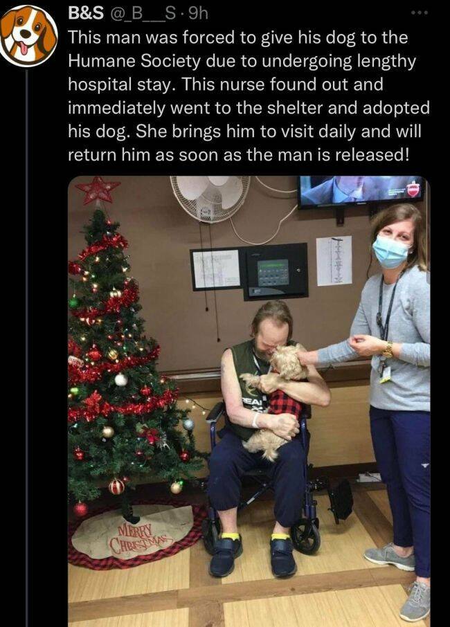 cool random pics for your daily dose - nurse adopts patients dog - B&S .9h This man was forced to give his dog to the Humane Society due to undergoing lengthy hospital stay. This nurse found out and immediately went to the shelter and adopted his dog. She