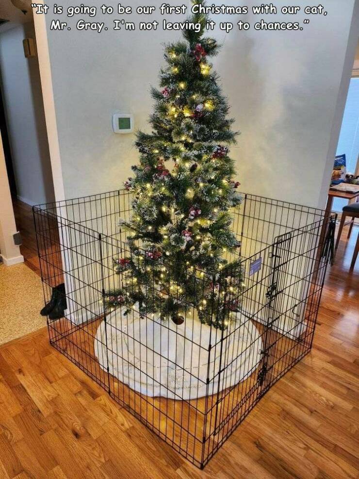 random pics for your daily dose - christmas tree - "It is going to be our first Christmas with our cat, Mr. Gray. I'm not leaving it up to chances."